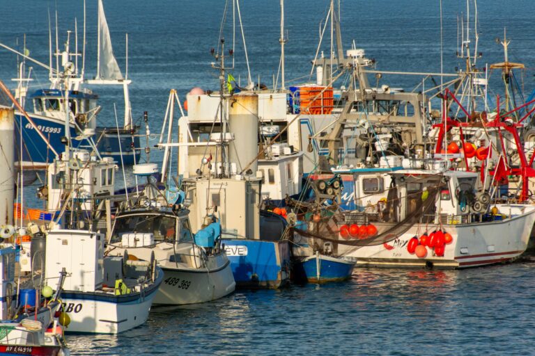 Ship Operations Recruiters